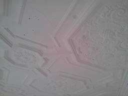 fkillineybeforeinternal 1190.jpg